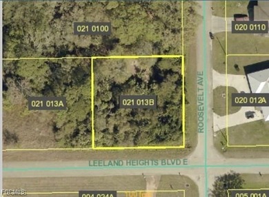 Lehigh Acres Area Lot For Sale in Lehigh Acres Florida