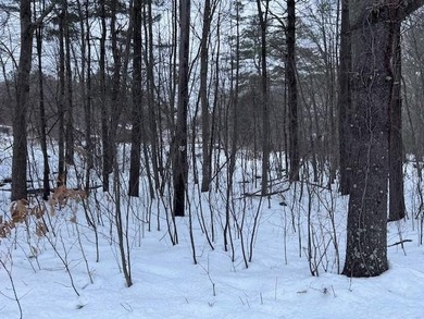 Lake Lot For Sale in Burrillville, Rhode Island