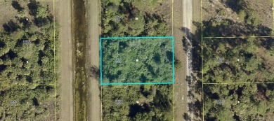 Lehigh Acres Area Lot For Sale in Lehigh Acres Florida