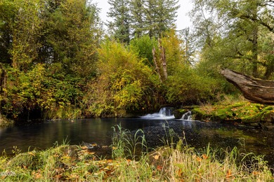 Waterfall Views from your front deck! Spacious Large Single