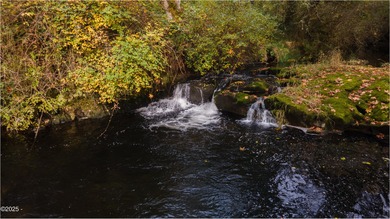 Waterfall Views from your front deck! Spacious Large Single
