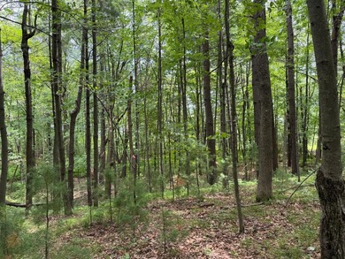 Long Lake - Burnett County Lot For Sale in Siren Wisconsin