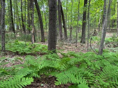 Additional listing photo 3