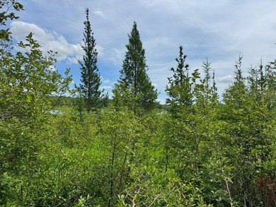 Build your dream lake home or Northwoods retreat on beautiful - photo 9