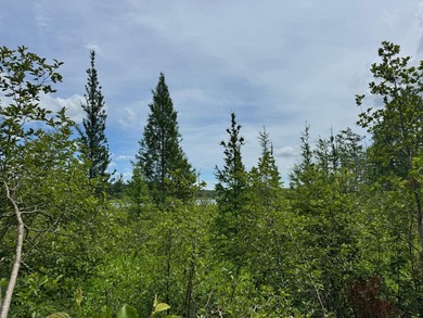 Build your dream lake home or Northwoods retreat on beautiful - photo 10