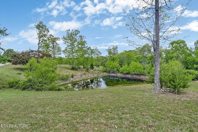 Beautiful home with STUNNING mountain views! This 3 bedroom, 2 - photo 15