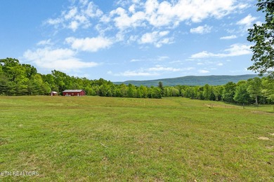 Beautiful home with STUNNING mountain views! This 3 bedroom, 2 - photo 18