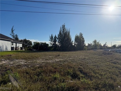 Freshwater canal homesite with seawall already in place, located - photo 3