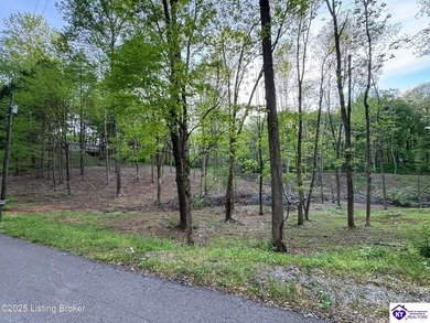 BARREN RIVER area. Just 4 minutes to Walnut Creek Marina. This - Lake Lot For Sale in Scottsville, Kentucky