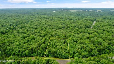 Looking for space, privacy, and natural beauty? This 1.58-acre - photo 1