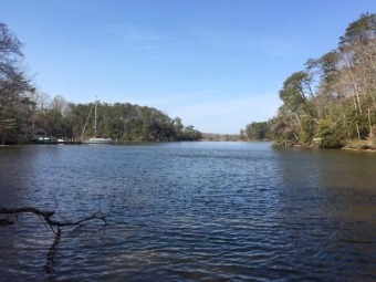 Chesapeake Bay - Wicomico River Lot For Sale in Burgess Virginia