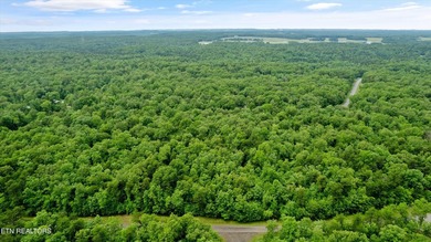 Looking for space, privacy, and natural beauty? This 1.58-acre - photo 2