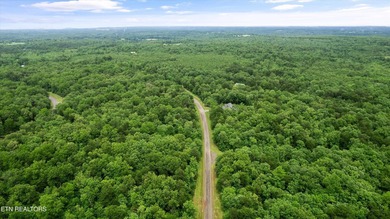 Looking for space, privacy, and natural beauty? This 1.58-acre - photo 3