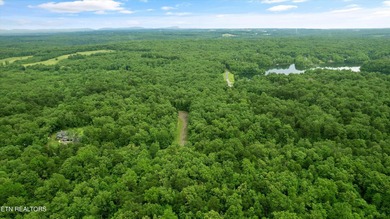 Looking for space, privacy, and natural beauty? This 1.58-acre - photo 4