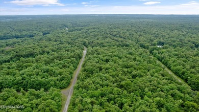 Looking for space, privacy, and natural beauty? This 1.58-acre - photo 5