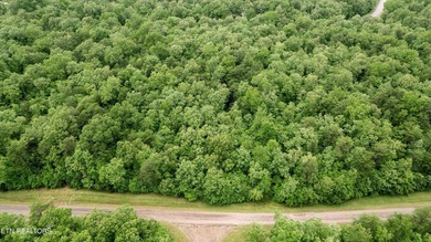 Looking for space, privacy, and natural beauty? This 1.58-acre - photo 8