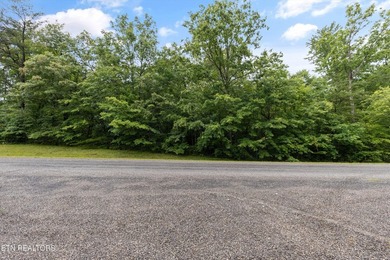 Looking for space, privacy, and natural beauty? This 1.58-acre - photo 9