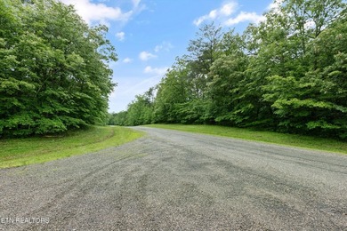 Looking for space, privacy, and natural beauty? This 1.58-acre - photo 10