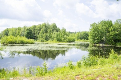 Lake Home For Sale in Altona, New York