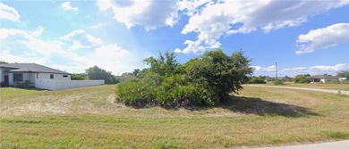 An exceptional opportunity to own a unique corner lot in highly - photo 3