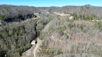 (private lake, pond, creek) Acreage For Sale in Louisa Kentucky