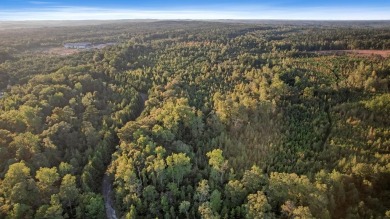 Lake Lot For Sale in Ft. Gaines, Georgia