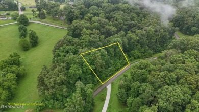 Lake Lot For Sale in Loudon, Tennessee