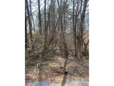 Lake Lot For Sale in Burnside, Kentucky