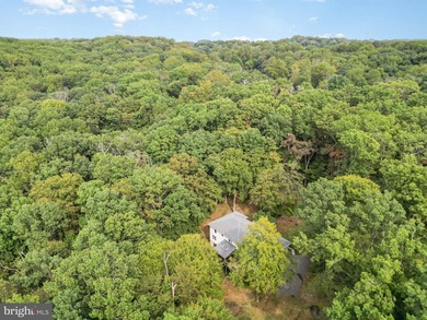 Tucked away on five private acres with a stream that feeds into - photo 44