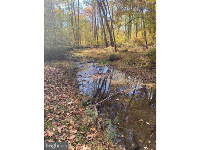 Tucked away on five private acres with a stream that feeds into - photo 46