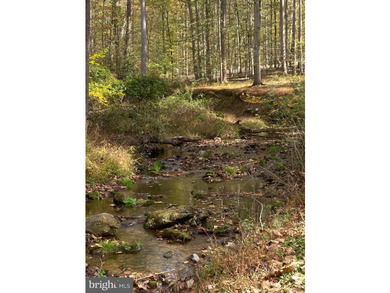 Tucked away on five private acres with a stream that feeds into - photo 47