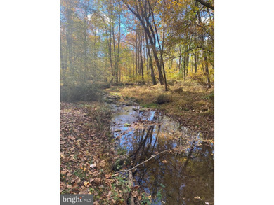 Tucked away on five private acres with a stream that feeds into - photo 48