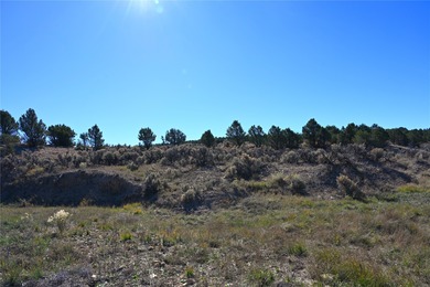 El Vado Lake Acreage For Sale in Tierra Amarilla New Mexico