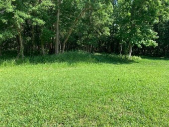 Lake Lot Off Market in Riverview, Florida