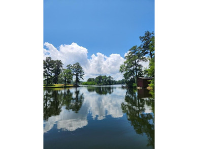 Lake Home For Sale in Burkeville, Texas