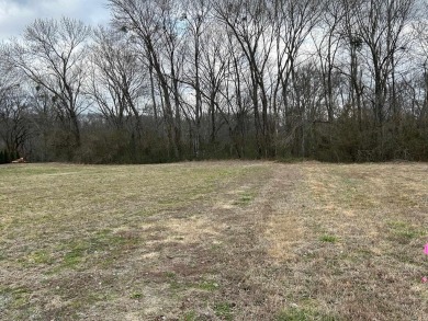 Discover the rare opportunity to own a premier riverfront lot at - photo 2