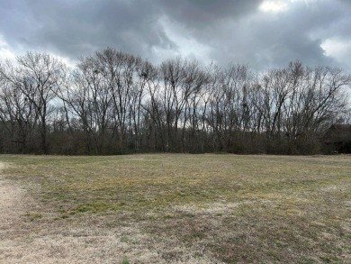 Discover the rare opportunity to own a premier riverfront lot at - photo 3
