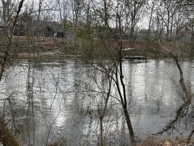 Discover the rare opportunity to own a premier riverfront lot at - photo 5
