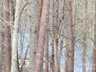 This Badin Lake water view lot is located in the prestigious - photo 11