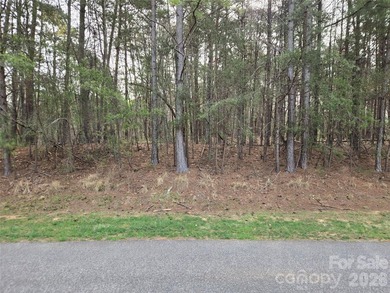 This Badin Lake water view lot is located in the prestigious - photo 12