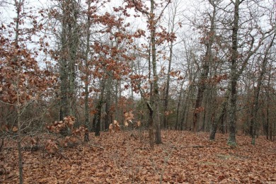 Lake Acreage For Sale in Theodosia, Arkansas