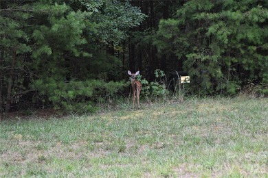 This Badin Lake water view lot is located in the prestigious - photo 23