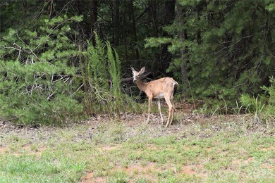 This Badin Lake water view lot is located in the prestigious - photo 25