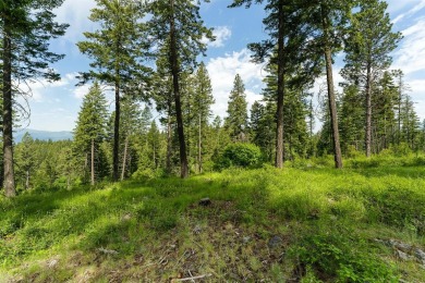 Flathead Lake Lot For Sale in Bigfork Montana