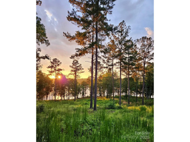 Lake Lot For Sale in Connelly Springs, North Carolina
