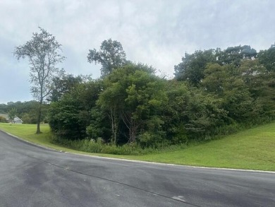 Cherokee Lake Lot For Sale in Mooresburg Tennessee