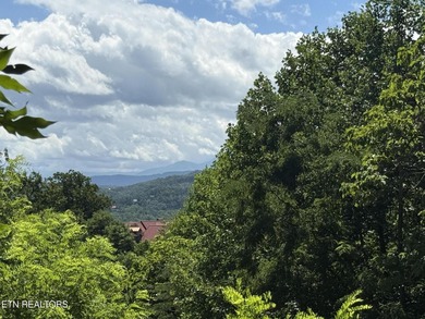 (private lake, pond, creek) Lot For Sale in Sevierville Tennessee