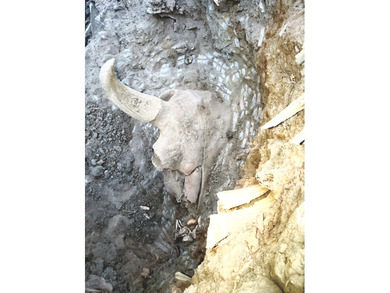 Missouri River Acreage For Sale in Fort Benton Montana