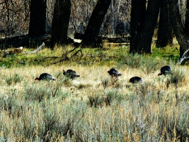 The Lazy K6 Ranch includes 7,000+/- deeded acres along the - photo 5