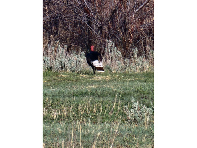 The Lazy K6 Ranch includes 7,000+/- deeded acres along the - photo 7